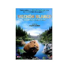 Mechon Blanco las aventuras del Pequeño Cas